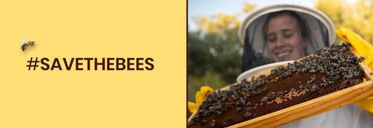 5-formas-de-salvar-a-las-abejas Laboratorios Beemine