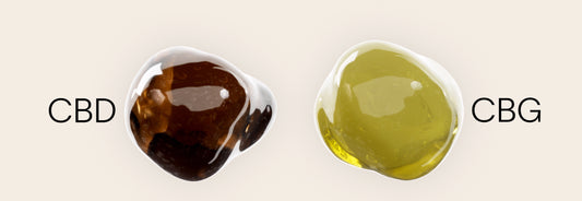 6-diferencias-entre-CBD-y-CBG Laboratorios Beemine