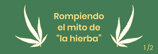 Cannabis-Sativa-L-Diferencia-entre-cáñamo-y-marihuana Laboratorios Beemine