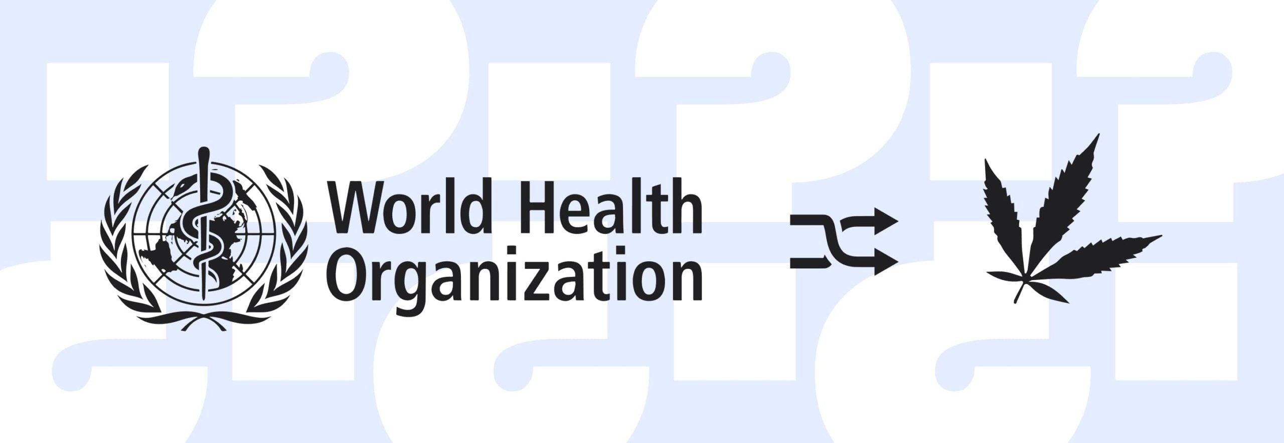 OMS-sobre-el-uso-de-CBD Laboratorios Beemine