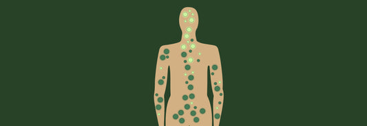 Qué-es-y-cómo-funciona-el-Sistema-Endocannabinoide Laboratorios Beemine