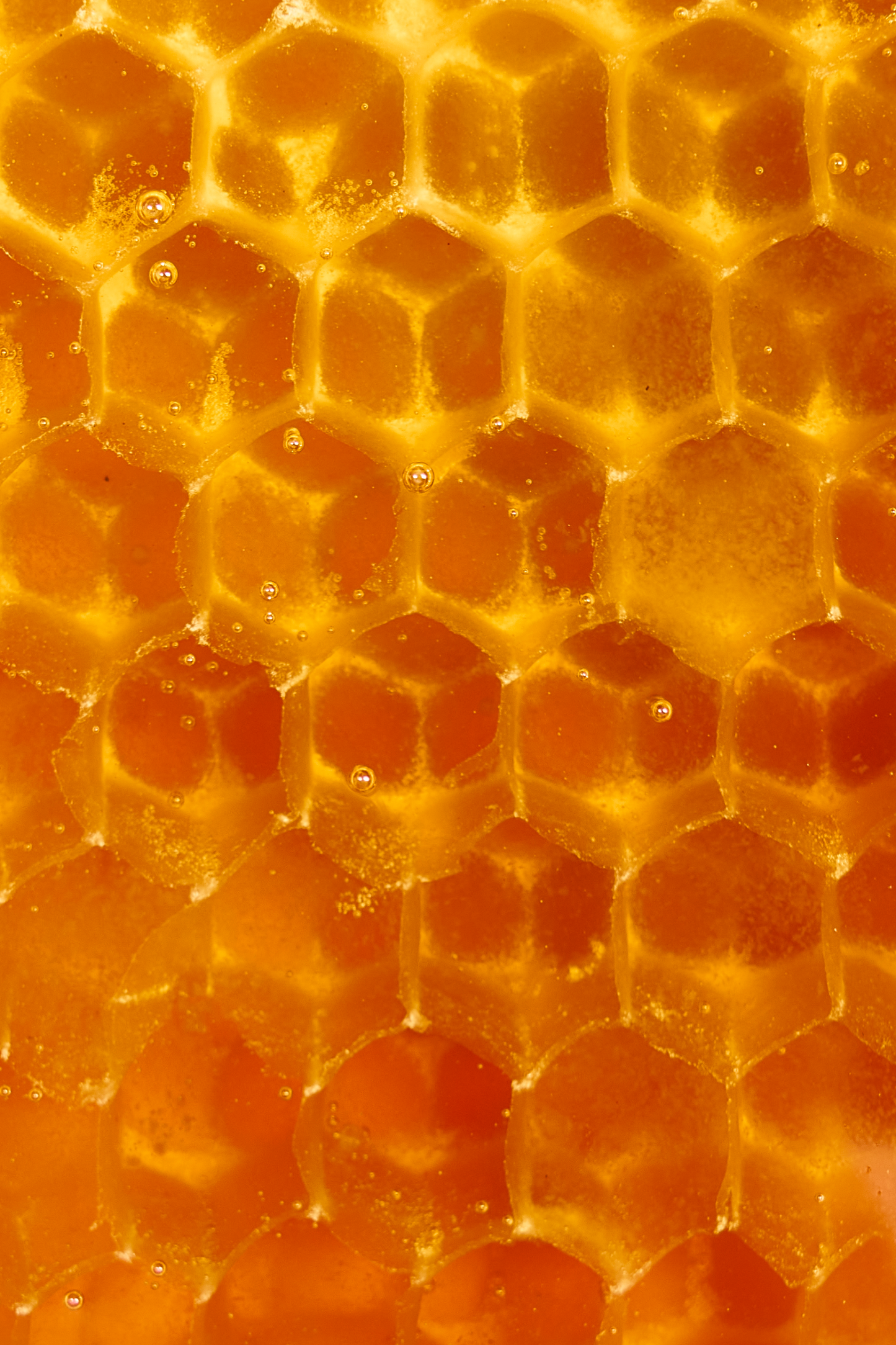 Hani+ (Miel + CBD) Laboratorios Beemine