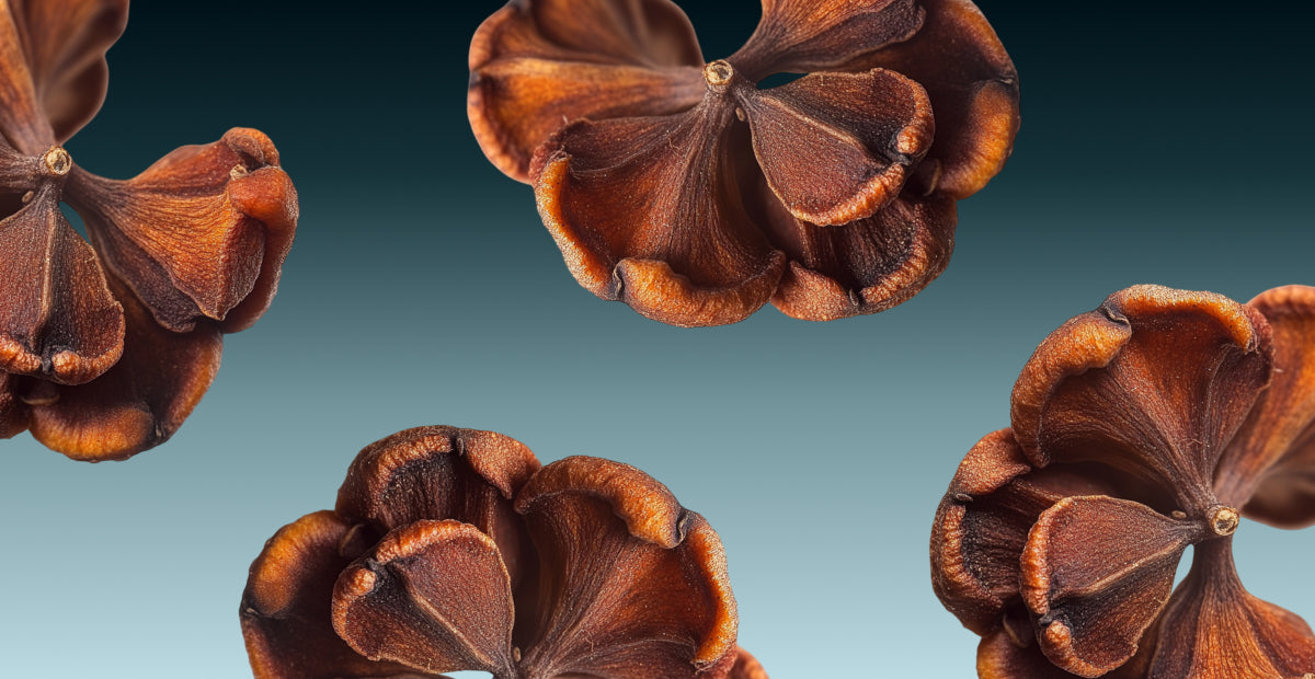 Clavo: el toque especiado que transforma tus masajes en rituales