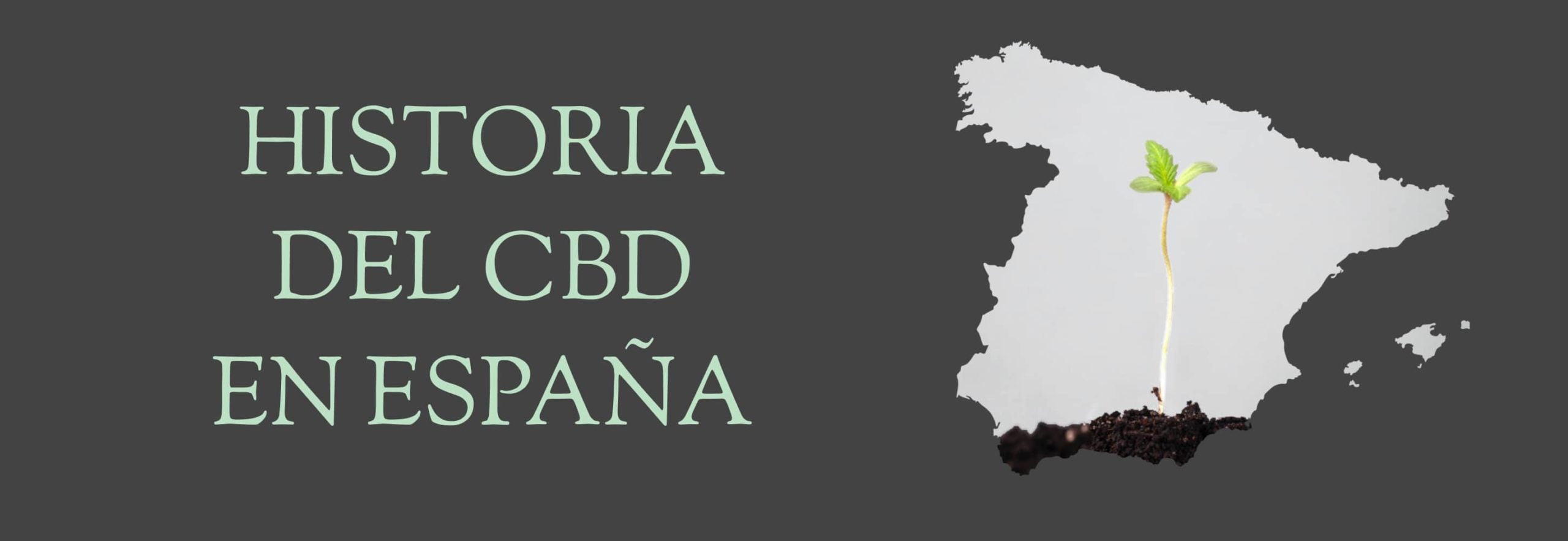 Historia sobre el CBD en España