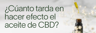 ¿Cuánto tarda en hacer efecto el aceite de CBD?