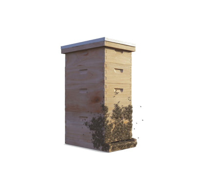 Sponsor a beehive