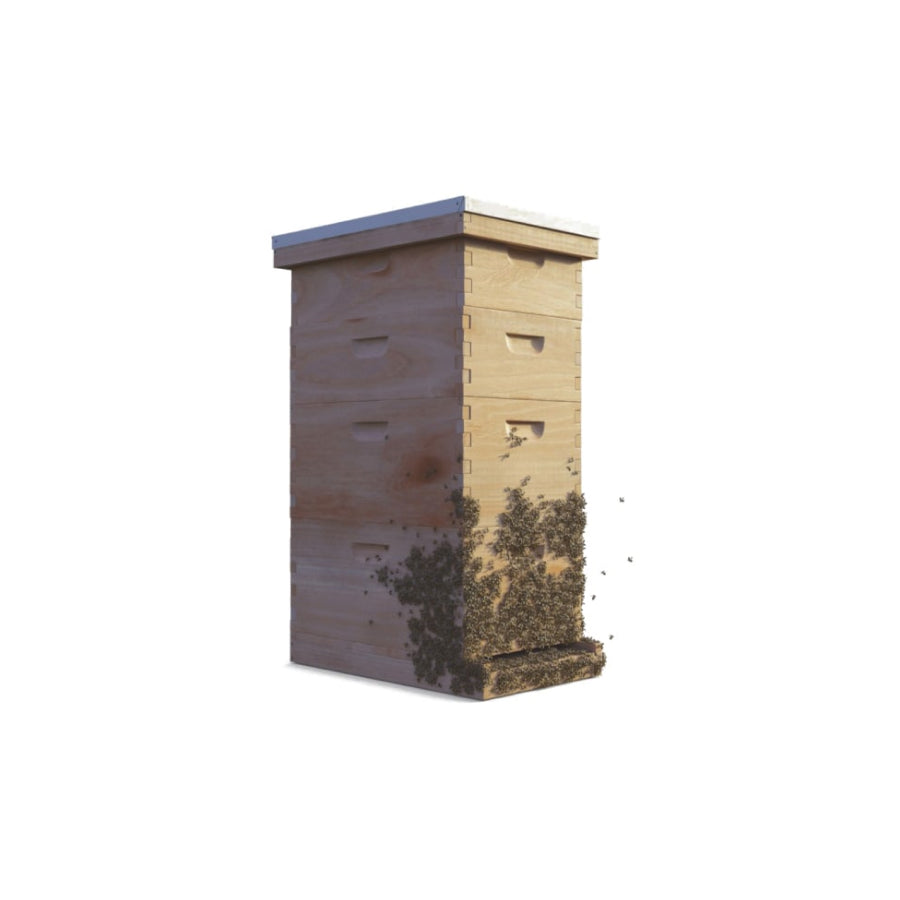 Sponsor a beehive