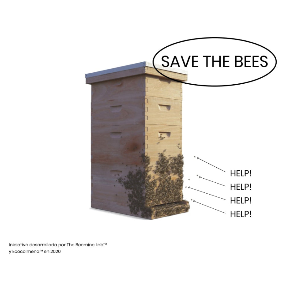 Sponsor a beehive